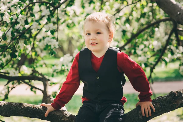 Retrato del niño sentado en el cerezo en el paseo en el jardín de primavera o el parque — Foto de Stock