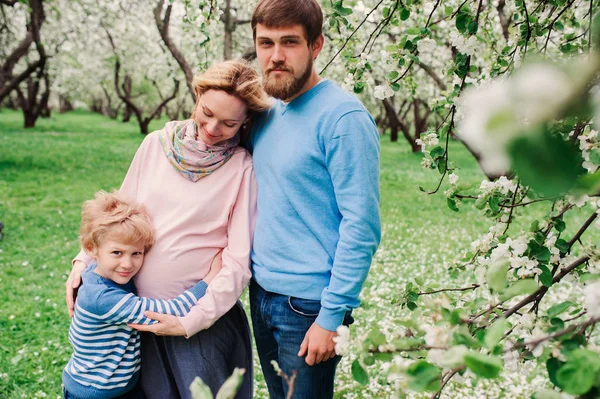 Portrait printanier d'une famille heureuse profitant de vacances dans un jardin fleuri. Mère enceinte, père et fils marchant ensemble en plein air — Photo