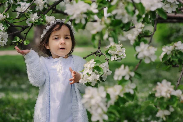 Urocza toddler dziecko dziewczynka w światło niebieski szykowny strój spaceru i grając kwitnący ogród wiosna wiśnia — Zdjęcie stockowe