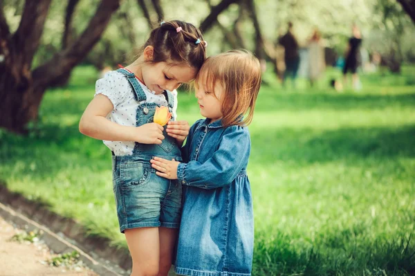 Dwa śliczne małe siostry grając z kwiatem na spacerze w parku lato — Zdjęcie stockowe