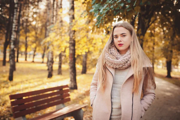 年轻漂亮的女人走在时尚的暖和衣服在阳光明媚的秋日在公园里，身穿粉红色上衣，针织的围脖的画像。在城市的休闲生活方式 — 图库照片