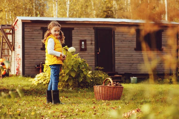 Happy child girl playing little gardener in autumn and picking leaves into basket. Seasonal garden work. — Stock Photo, Image