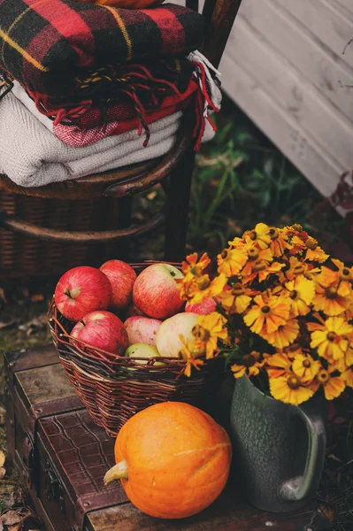 Kır evinde düşmek. Mevsimlik dekorasyon kabak, taze elma ve çiçekler. Çiftliğinde sonbaharda hasat. — Stok fotoğraf