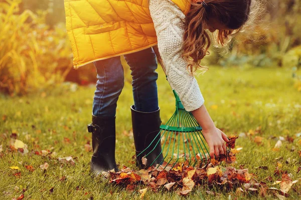 Sonbahar ve malzeme çekme küçük bahçıvan iskambil kız mutlu çocuk sepet içine bırakır. Mevsimlik Bahçe çalışma. Arka bahçesinde temizlik. — Stok fotoğraf