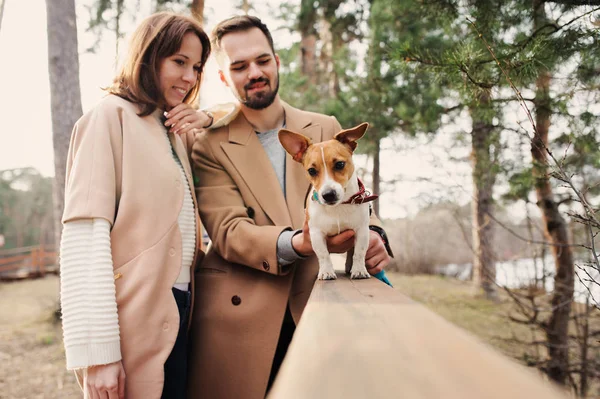 Unga glada romantiska par promenader tillsammans med jack russel terrier hund i höst skog — Stockfoto