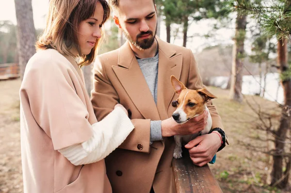 Unga glada romantiska par promenader tillsammans med jack russel terrier hund i höst skog — Stockfoto