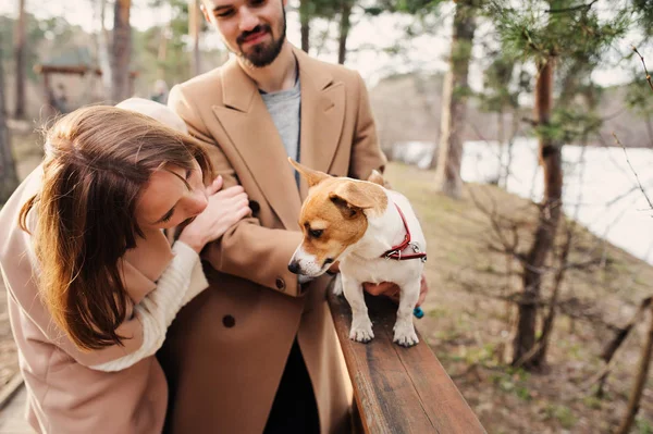 Unga glada romantiska par promenader tillsammans med jack russel terrier hund i höst skog — Stockfoto