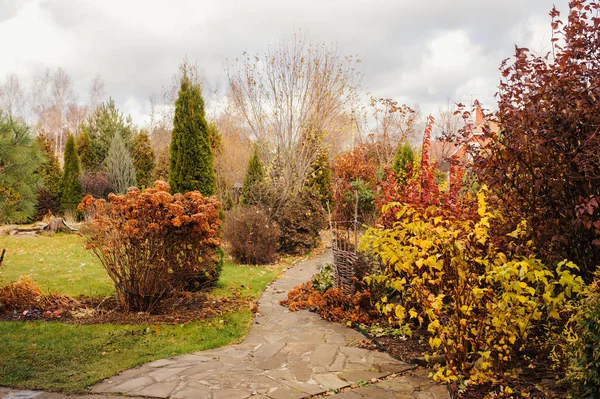 Spätherbst privater Gartenblick mit Steinweg und getrockneten Hortensien — Stockfoto