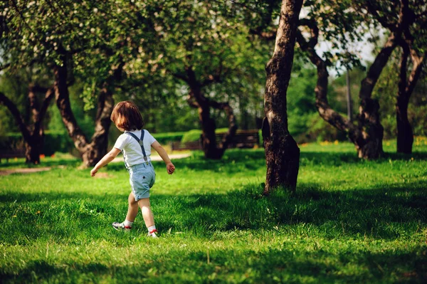 Lat Toddler Chłopiec Dziecko Spaceru Sam Wiosenny Lub Letni Spacer — Zdjęcie stockowe