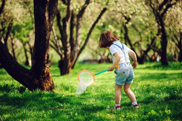 快乐的3岁男孩在阳光明媚的花园或公园里走着网 捉蝴蝶 春夏户外活动 快乐童年概念 — 图库照片