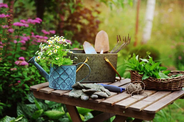 夏の庭の仕事まだ生命 カモミールの花 木製テーブルの背景に咲く花と晴れた日の屋外でされました — ストック写真