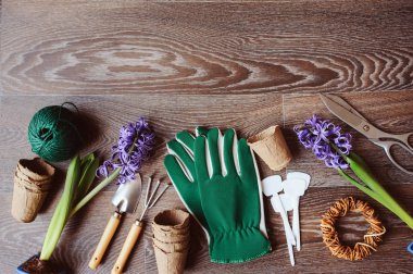bahar çiçekleri üstten görünüm dikim için hazırlıklar. Bahçıvan eldivenleri, çiçek, Bahçe etiket, turba tencere ve araçları ile mevsimlik tablo. Düz kopya alanı ile yatıyordu.