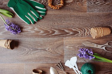 bahar çiçekleri üstten görünüm dikim için hazırlıklar. Bahçıvan eldivenleri, çiçek, Bahçe etiket, turba tencere ve araçları ile mevsimlik tablo. Düz kopya alanı ile yatıyordu.