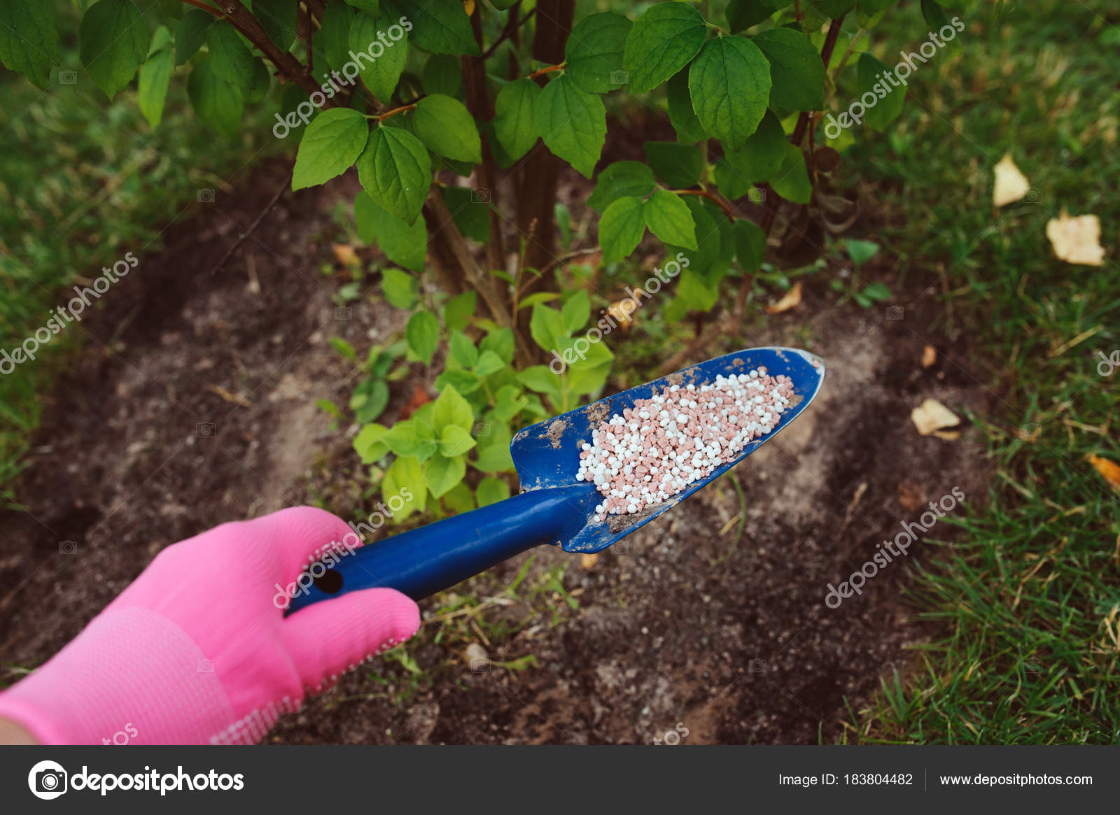 Hnojivo pre záhradné rastliny