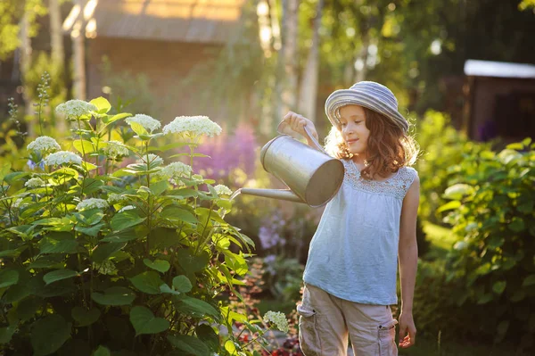 Happy Child Playing Little Gardener Watering Hydrangea Bush Sunny Summer — Stock Photo, Image