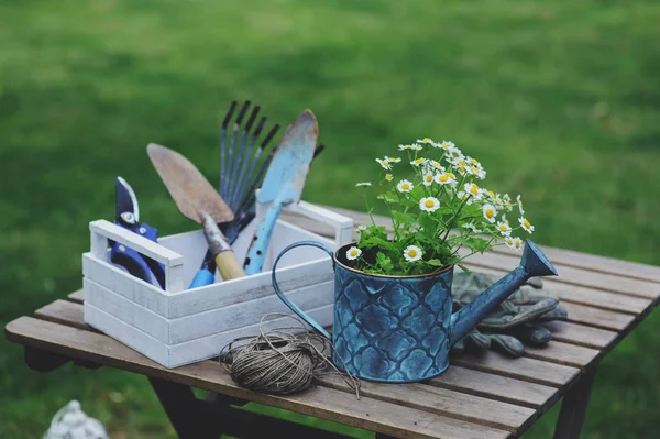 花园的工作仍然在夏天的生活 甘菊花 手套和 Toold 在露天的木桌上 在阳光明媚的日子里 鲜花盛开的背景 — 图库照片