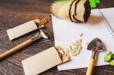 bahar bahçe sebze tohum Ekim ve planlama için hazırlık. Kabak, kişniş etiketleri, turba tencere ve not defteri araçları. Mevsimlik Bahçe çalışma.