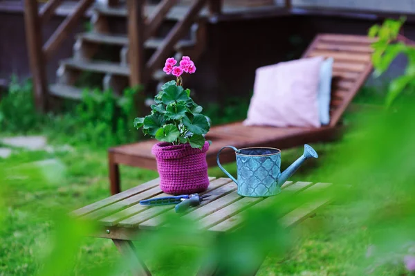 Concepto Trabajo Del Jardín Verano Estacional Flor Geranio Maceta Sombrero — Foto de Stock