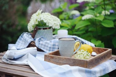 Summer breakfast in beautiful blooming garden. Tea with lemon, hydrangea flowers on wooden table with green background. Summertime and country slow living concept clipart