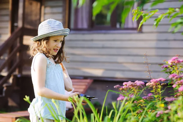 Mały Ogrodnik Dziecko Dziewczynka Przyczyniając Się Wykończenia Wyciąć Tawuła Krzew — Zdjęcie stockowe