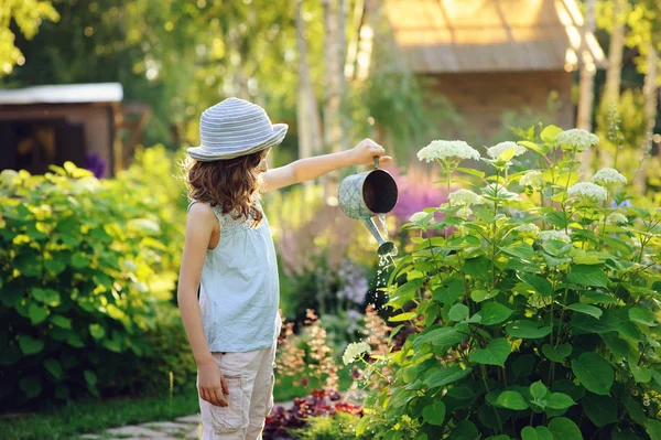 幸せな子供は 日当たりの良い夏の庭で小さな庭師および水まきあじさいの木 小さなヘルパーの概念を再生します 田舎で夏休みを過ごす子供 — ストック写真