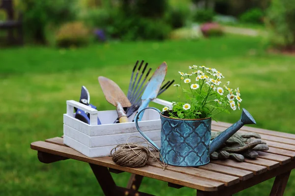 Trädgårdsarbetet Stilleben Sommar Kamomill Blommor Handskar Och Toold Träbord Utomhus — Stockfoto