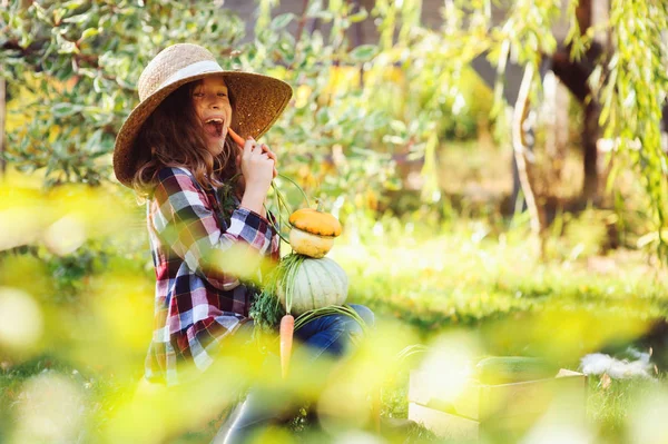 Çiftçi Şapka Oynama Güneşli Bahçede Sonbahar Sebze Hasat Toplama Gömlek — Stok fotoğraf