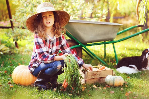 Felice Contadino Bambina Raccogliendo Raccolto Verdure Autunno Giardino Coltivazione Carote — Foto Stock