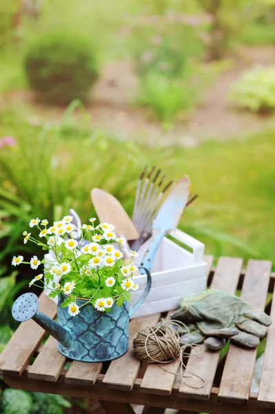 Trädgårdsarbetet Stilleben Sommar Kamomill Blommor Handskar Och Toold Träbord Utomhus — Stockfoto