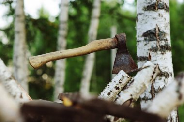 Huş ağacı orman arka plan üzerinde yakacak odun için balta ile doğrama. Ekoloji ve doğa bakım kavramı.