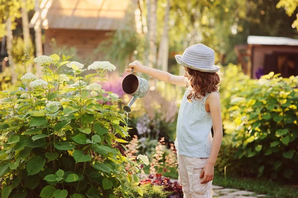 幸せな子供は 日当たりの良い夏の庭で小さな庭師および水まきあじさいの木 小さなヘルパーの概念を再生します 田舎で夏休みを過ごす子供 — ストック写真