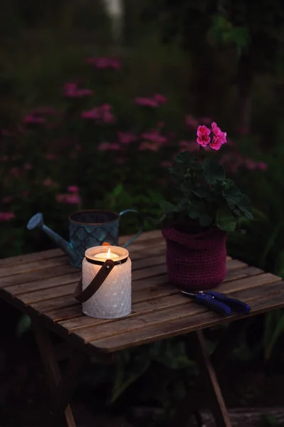 Cozy Evening Garden Summer Scene Candle Light Geranium Flower Pot — Stock Photo, Image