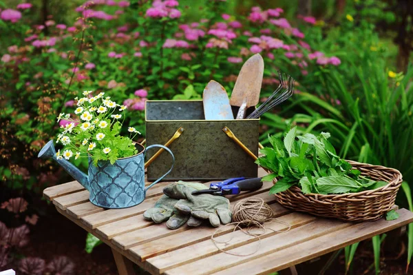 花园的工作仍然在夏天的生活 甘菊花 手套和 Toold 在露天的木桌上 在阳光明媚的日子里 鲜花盛开的背景 — 图库照片