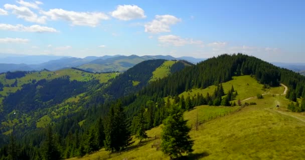 Aerial view of the Carpathian Mountains and a road on top, Ukraine. Drone flight — Stock Video