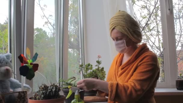 Коронавірус. Жінка з масками на обличчі доглядає за домашніми рослинами сама вдома. COVID-19. — стокове відео