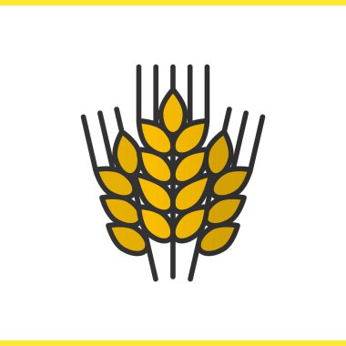 Buğday kulakları renk simgesi