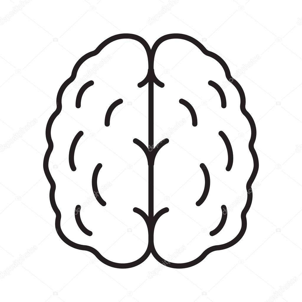 Human brain linear icon. Isolated vector illustration