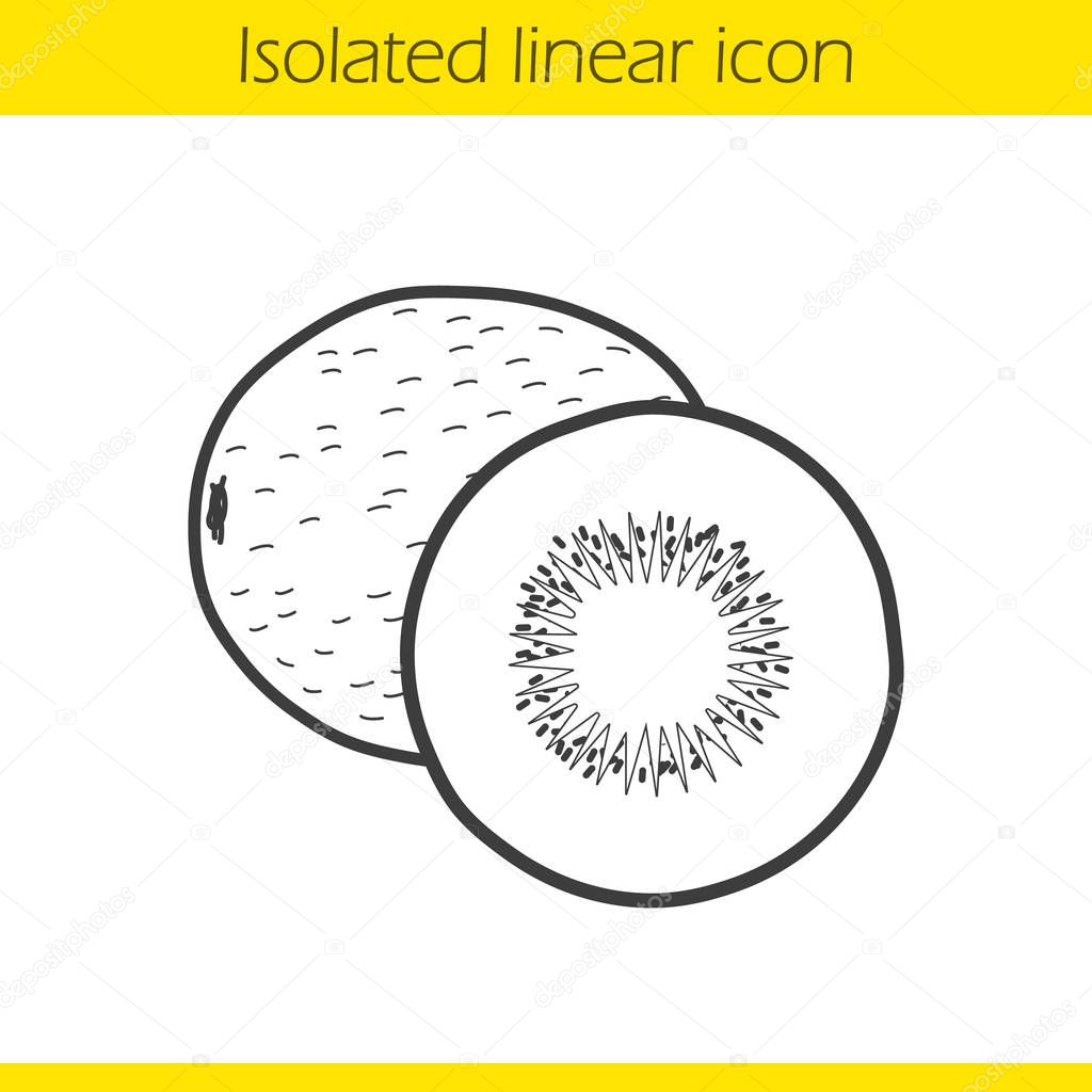 Kiwis fruit linear icon. Thin line illustration. Contour symbol. Vector illustration