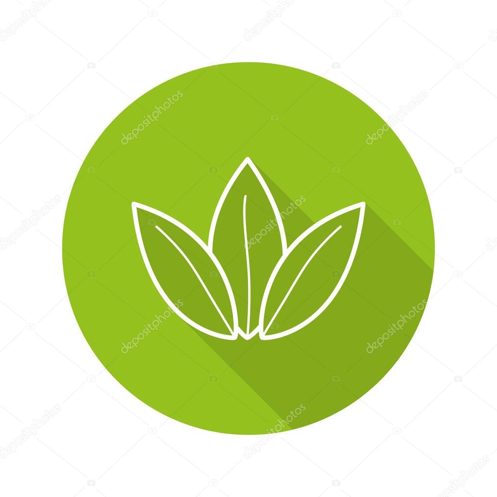 Tea leaves icon