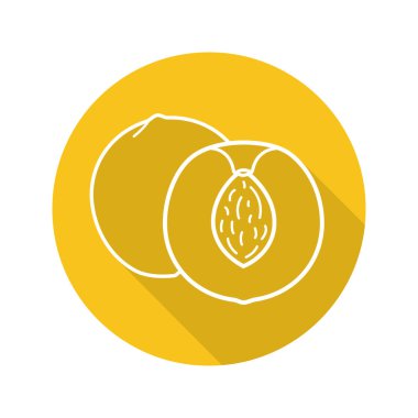 Kayısı düz doğrusal simgesi