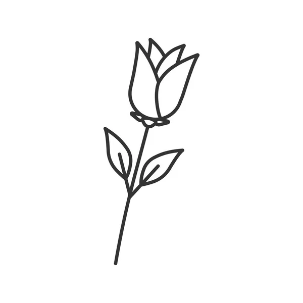 Rosenblume lineares Symbol — Stockvektor