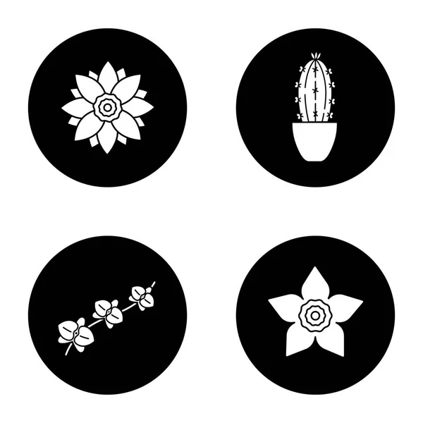 Flowers glyph icons set — Stock Vector