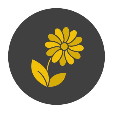 Papatya glif renk simgesi