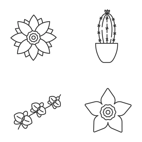 Flowers icons set — Stock Vector
