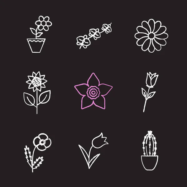 Flowers icons set — Stock Vector