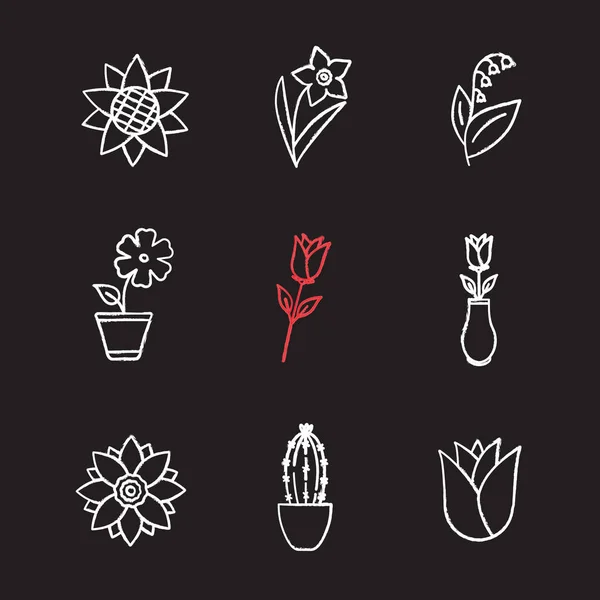 Conjunto de iconos flores — Vector de stock