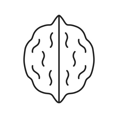 Ceviz doğrusal simgesi