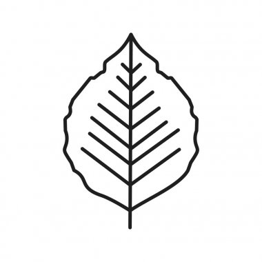 Yaprak doğrusal simgesi