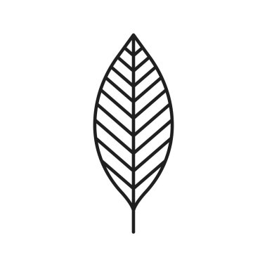 Yaprak doğrusal simgesi