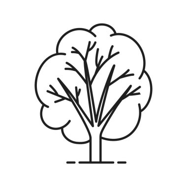  Ormancılık kontur sembolü